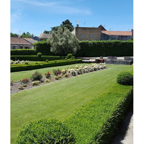 TOUR JARDINS E SOLARES DA BEIRA